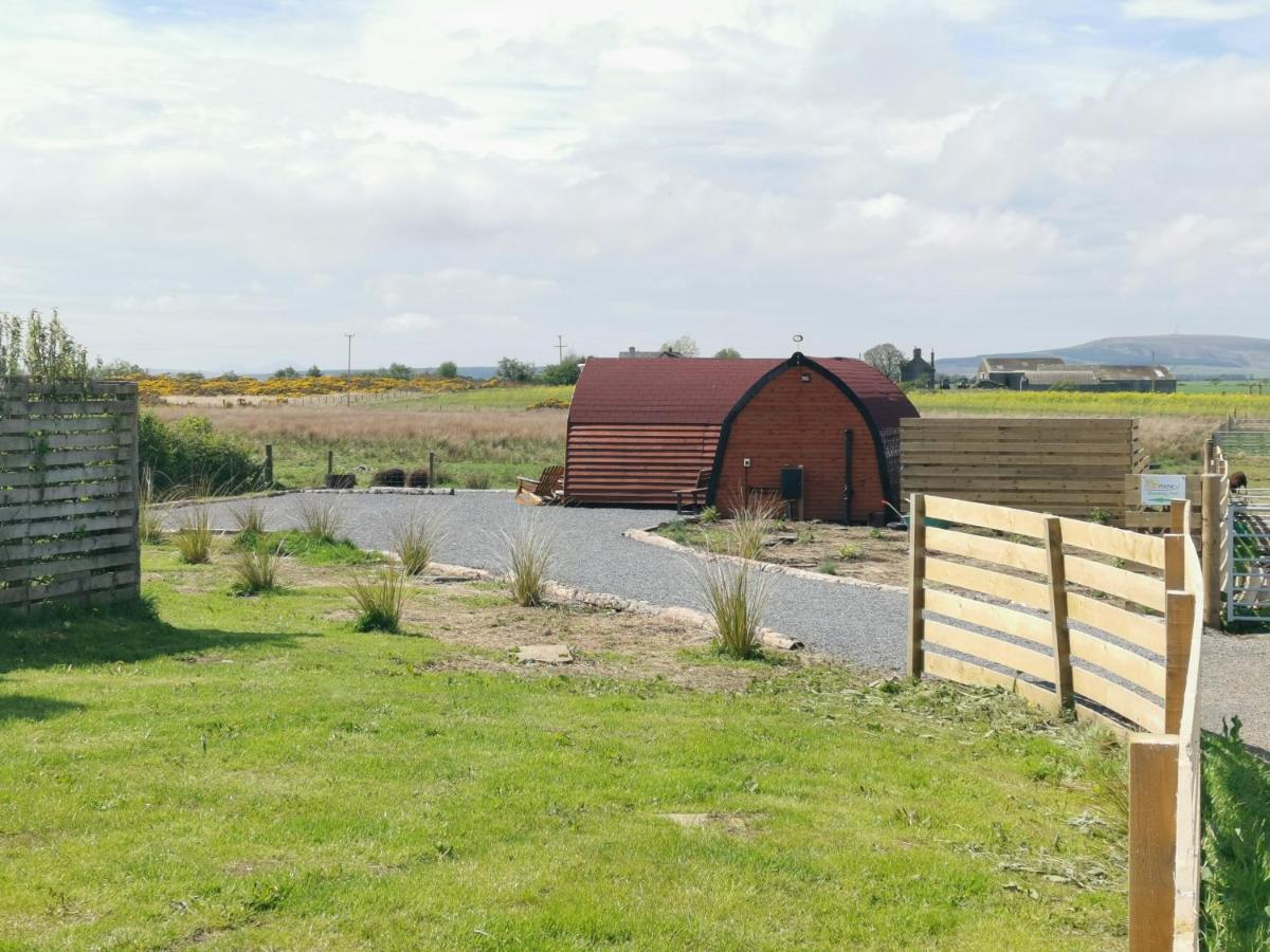 Achmeney Glamping Pod Larger Than Average Pod Halkirk